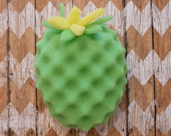 Pineapple Bath Sponges | Eco-Friendly & Soft Body Sponges for Natural Skin Care