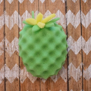 Pineapple Bath Sponges | Eco-Friendly & Soft Body Sponges for Natural Skin Care