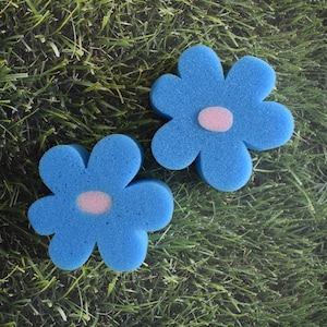 Può includere: Due fiori di spugna blu con centri rosa. I fiori sono su una superficie erbosa verde.