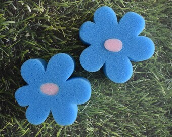 May include: Two blue sponge flowers with pink centers. The flowers are on a green grassy surface.