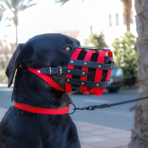 Pet Anti-morso cane museruola regolabile Copertura antiabbaiare per cani di taglia  media