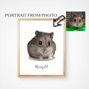 Personalized Pet Portrait Hamster Portrait Illustration Digital Pet Portrait Hamster Gift Pet Memorial Animal Lover Gift Portrait