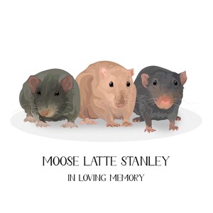 3 CUSTOM RAT Portrait - RAT Memorial Portrait - Rat Owner Gift - Rat Lover Gift