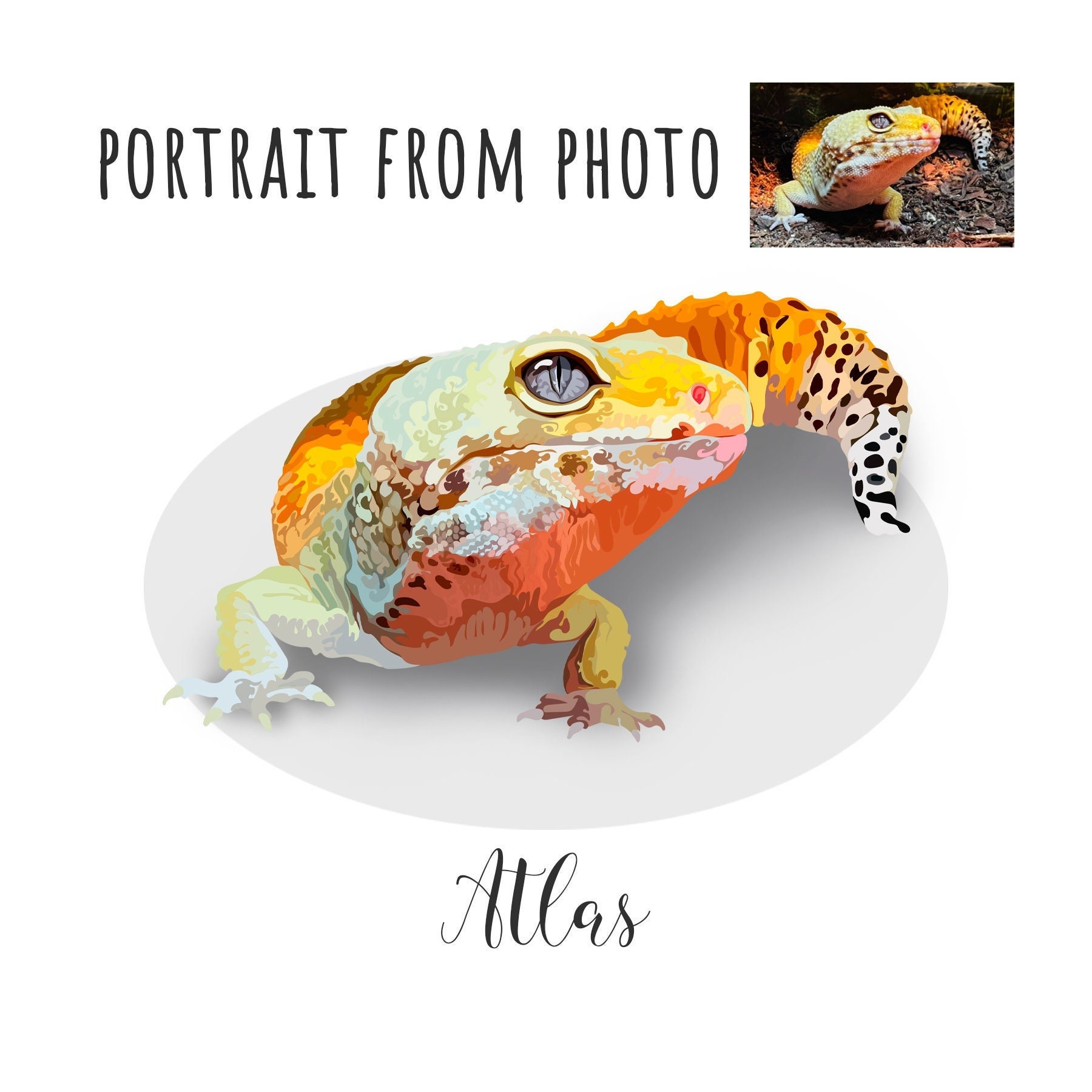 Custom Turtle Portrait - Reptile Personalised Turtle - Custom Pet ...