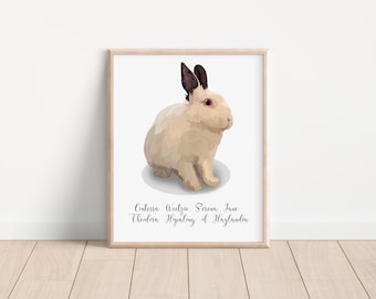 Custom Rabbit Portrait - Custom Bunny Portrait Illustration - Rabbit Portrait - Illustration Bunny Loss