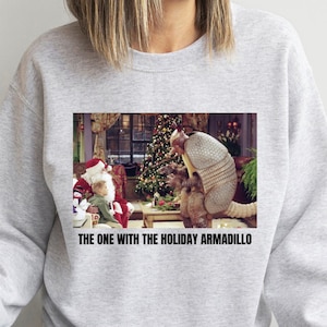 Holiday armadillo christmas jumper outlet