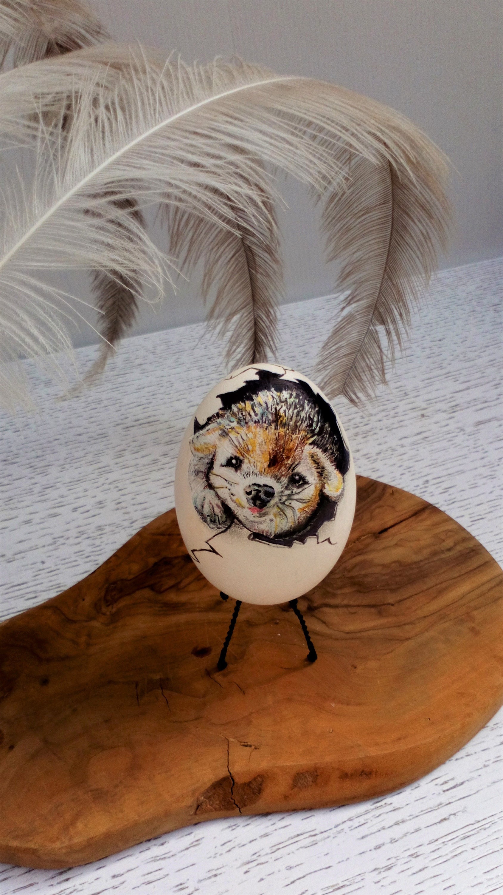 Oeuf d'oie Véritable Décor Fait Main Fabriqué en France