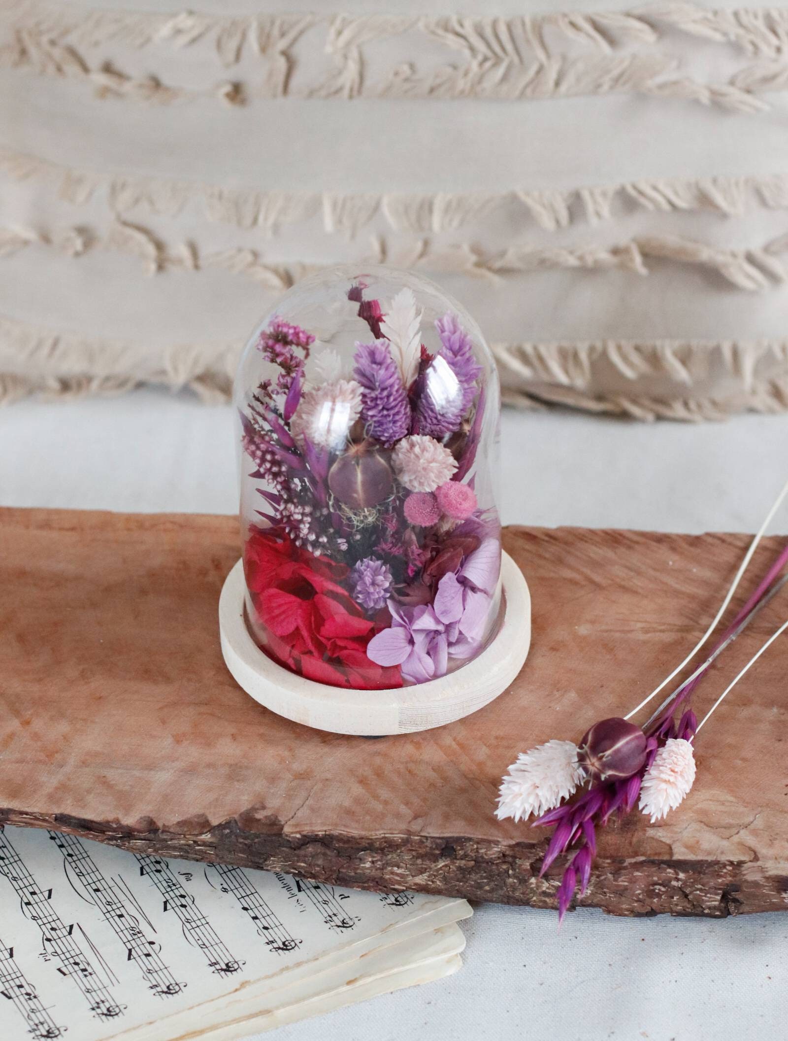 Cloche en Fleurs Stabilisées et Sechées Supernova Idée