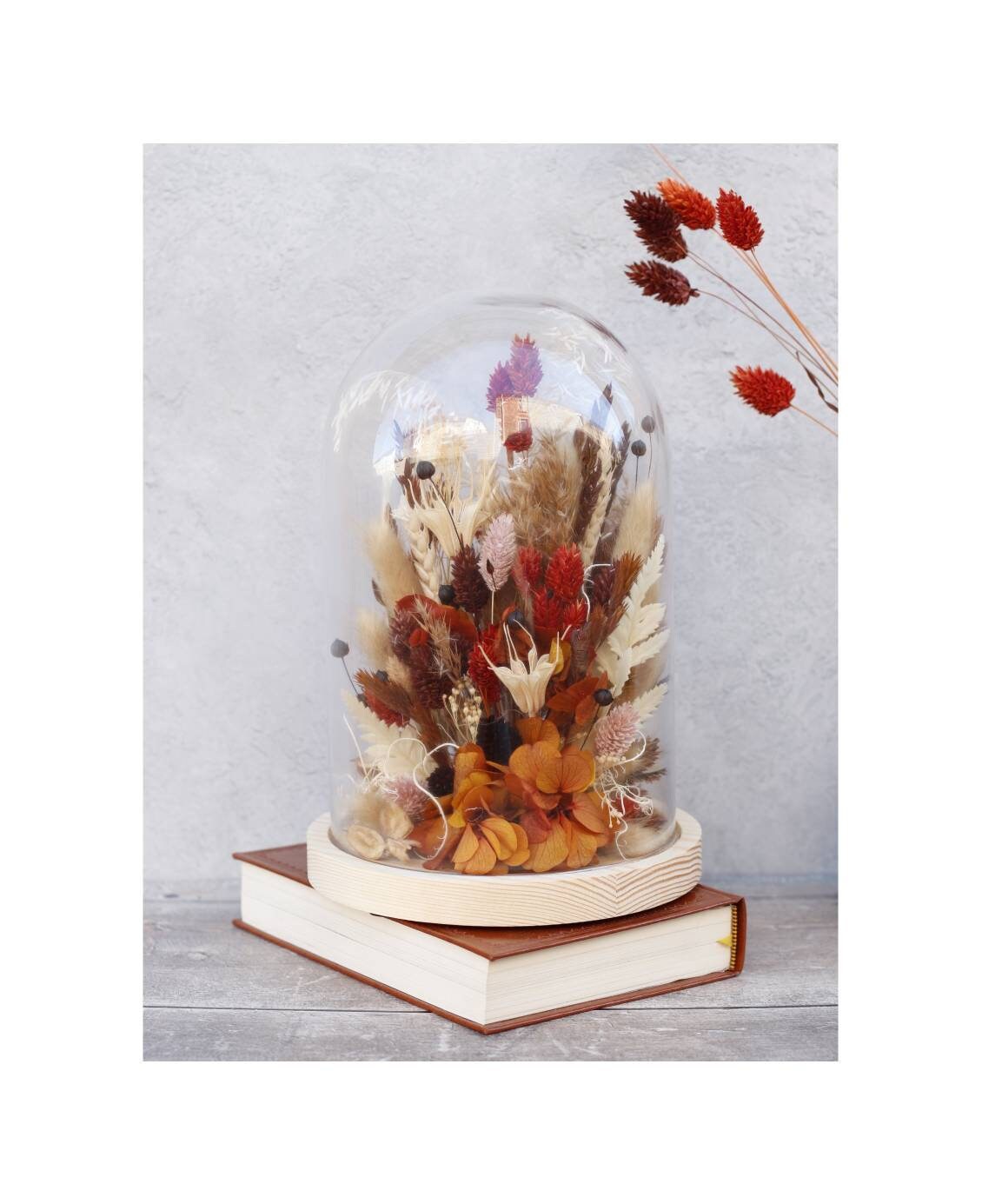 Cloche Fleurs Séchées Terracotta Maron Stabilisées , Décoration Intérieure Tendance Bohème Cadeau de