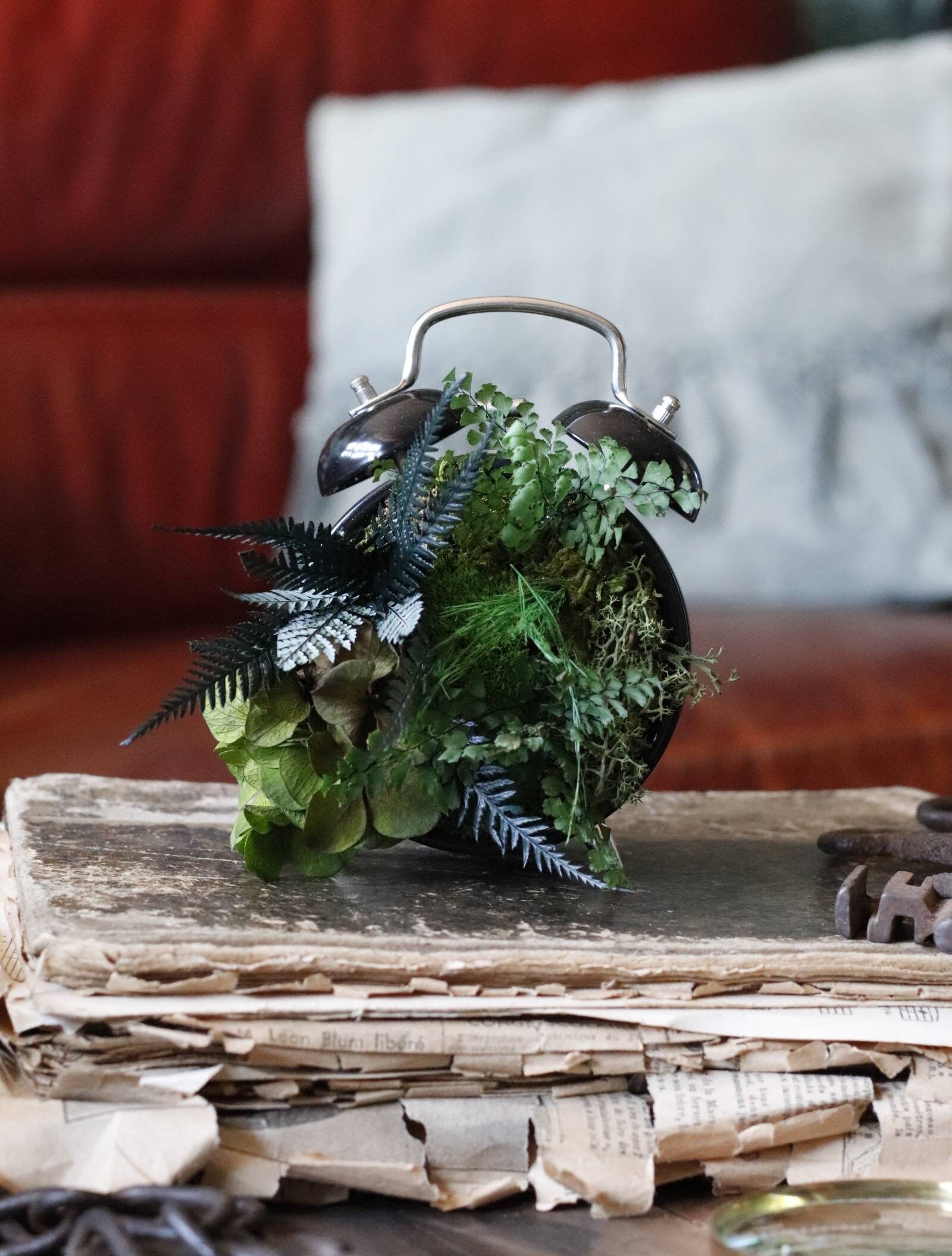 Cabinets Des Curiosités Petit Réveil Végétal en Feuillages et Mousses Stabilisés