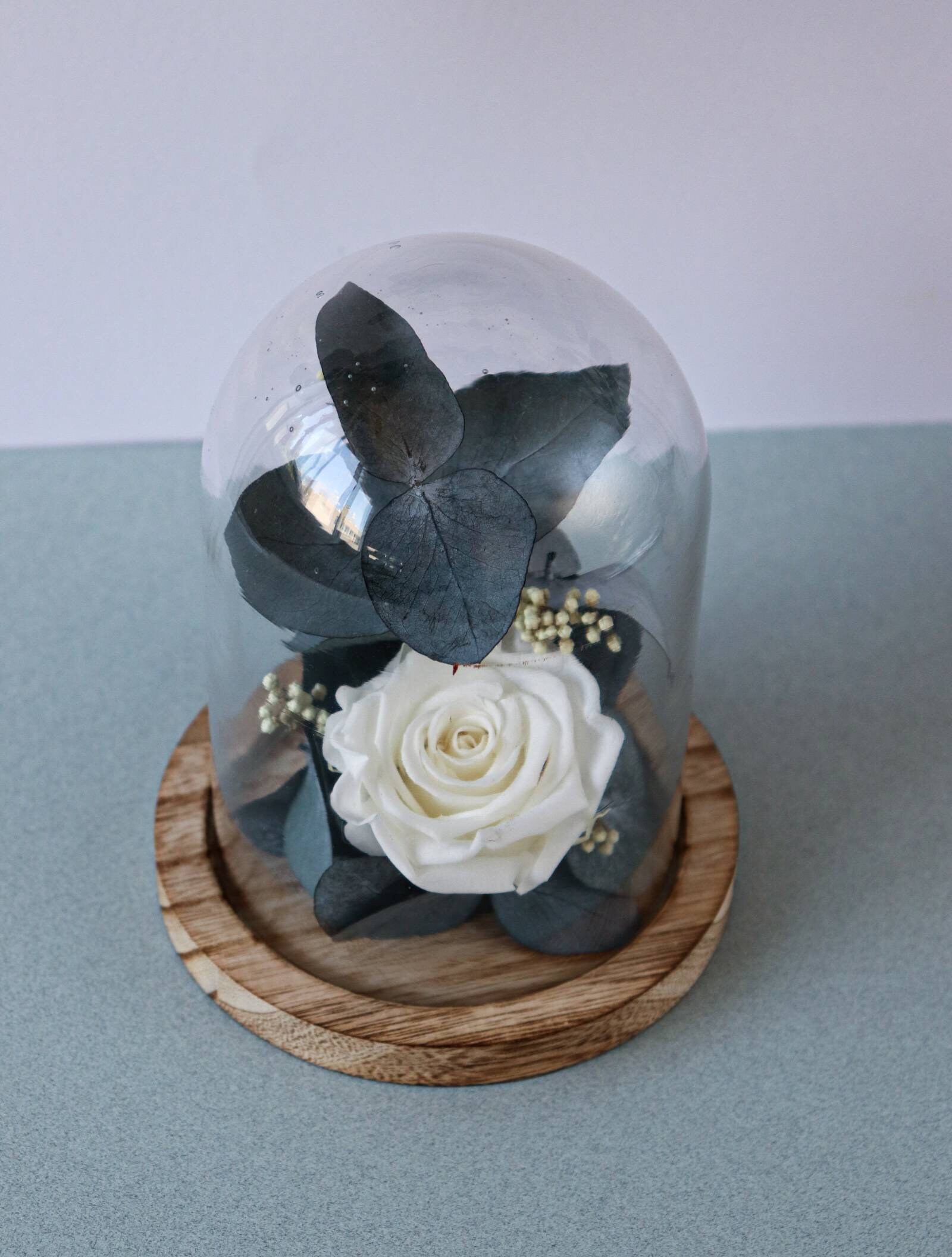 Cloche Rose Éternelle Blanche Snow' Eucalyptus Stabilisées Cadeau d'anniversaire Décoration Intérieu