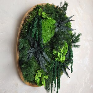 Peut inclure: Décoration murale ovale avec un cadre en bois, ornée de mousse préservée et de diverses plantes vertes. L'arrangement présente différentes textures et nuances de vert, créant un élément naturel et décoratif pour l'intérieur.