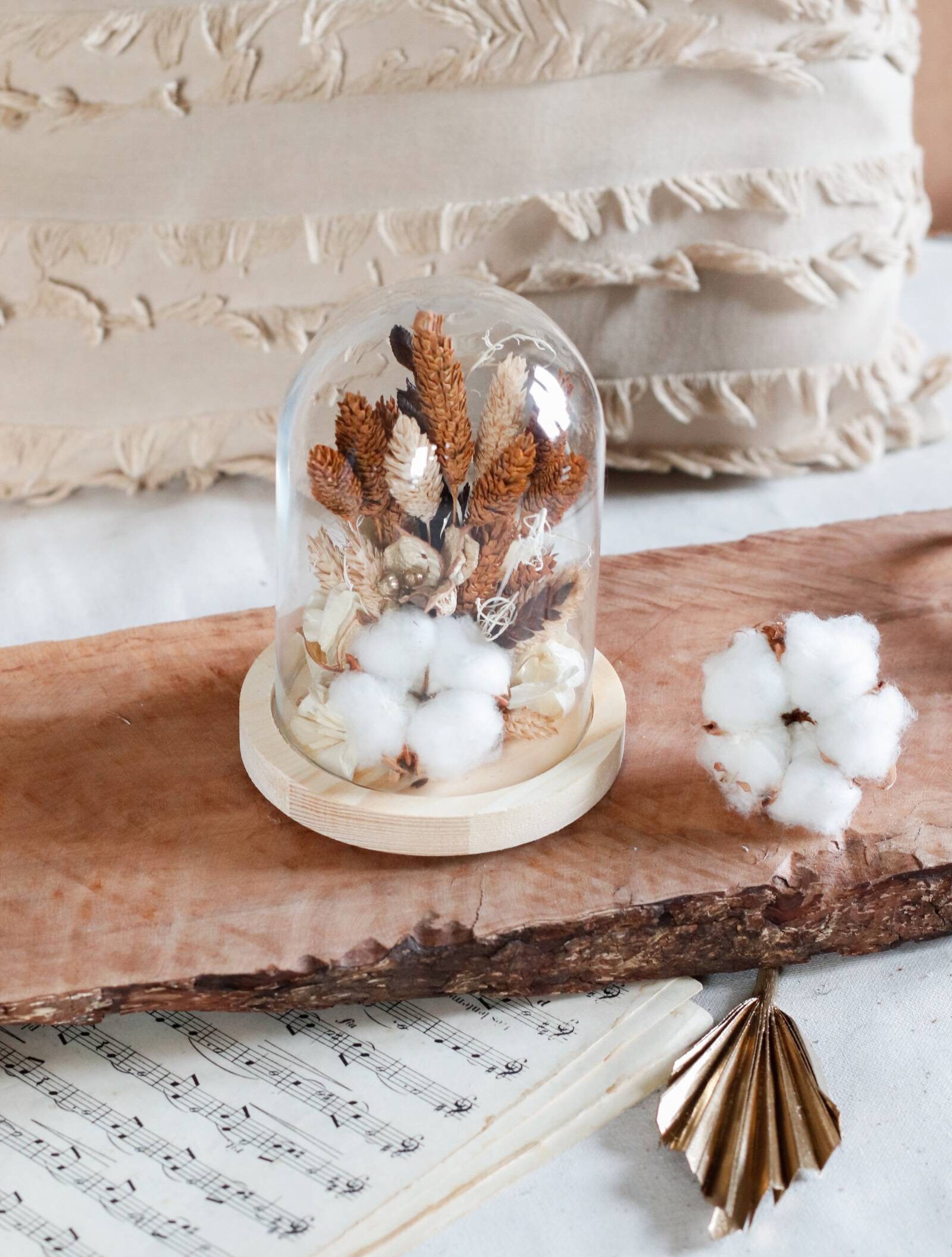 Cloche en Fleurs Stabilisées et Sechées Caramel Coton Idée