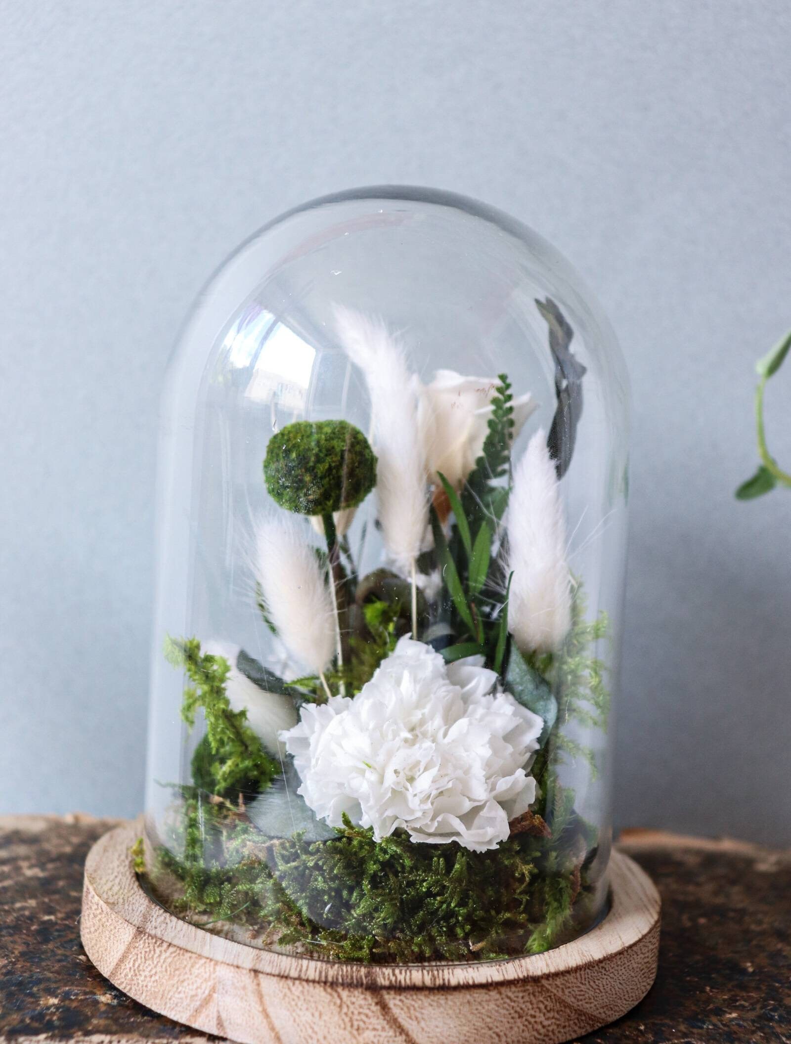 Cloche Sous-Bois Fleurs Séchées , Stabilisées Cloche Végétal Décoration Intérieure Déco