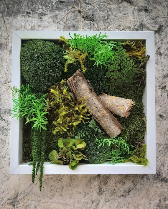 Faux Moss Wall with Ferns