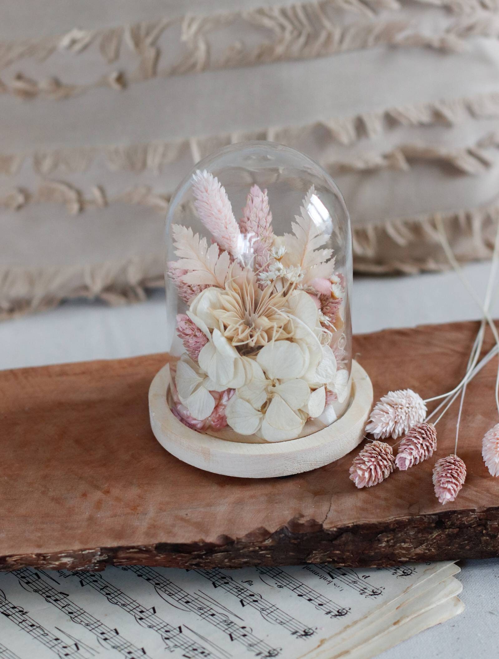 Cloche en Fleurs Stabilisées et Sechées Crema Rose Bohème Idée