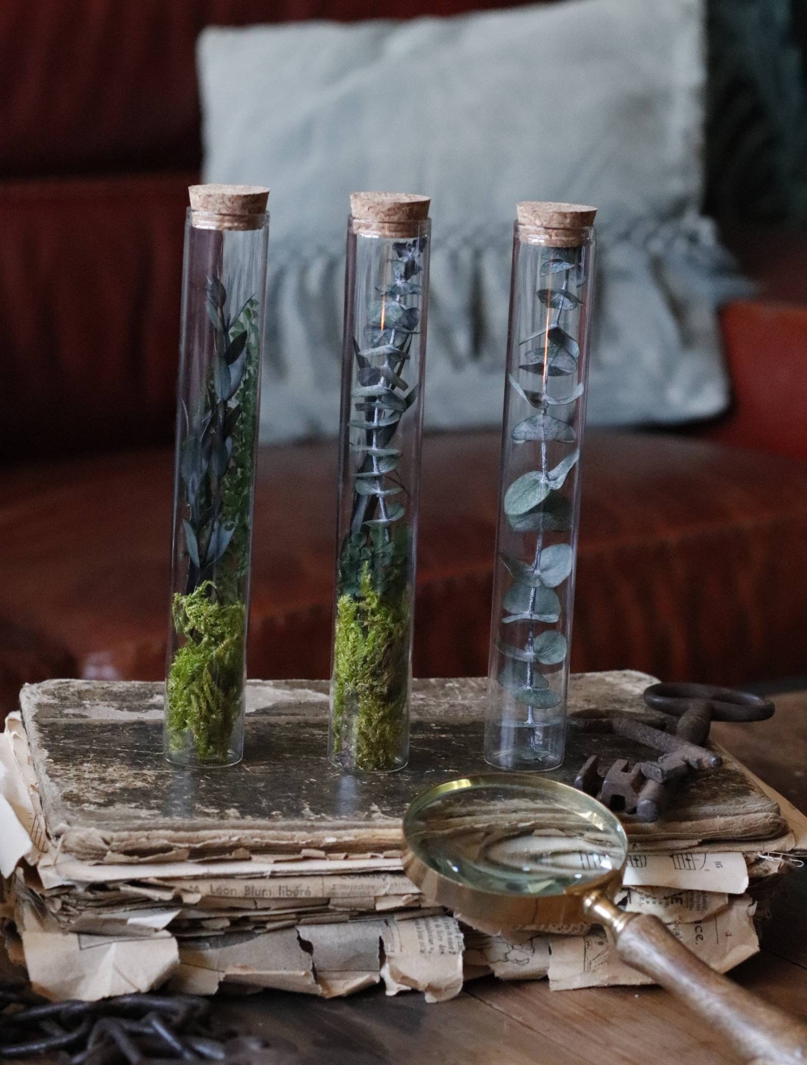 Cabinets Des Curiosités Petite Fioles Végétales Oxygène en Feuillages et Mousses Stabilisés