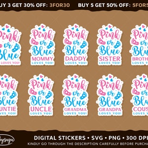 Gender Reveal Stickers Png, Pink oder Blau Stickers Png, druckbare Sticker, digitale Sticker, Baby Boy Stickers Png, Baby Girl Stickers Png