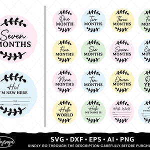 Baby Milestone Rounds SVG, Hello World SVG, Baby Sign SVG, Baby Svg Bundle