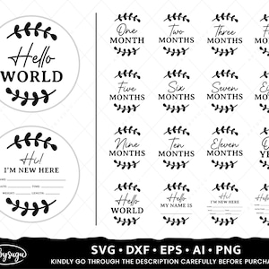 Baby Milestone Rondes SVG, Hello World SVG, Baby Sign SVG, Baby Svg Bundel