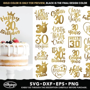 30. Geburtstag Cake Topper svg bündel, Prost auf 30 Jahre png, 30 und fabelhafte dxf, hallo 30 svg, 30 Jahre gesegnet eps, digitaler Download