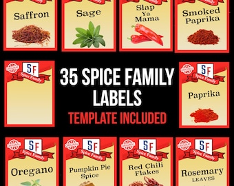 35 disegni PNG di magliette di Halloween abbinate per la famiglia Spice, magliette di Halloween di gruppo, file PNG di grembiuli per sublimazione, Ringraziamento in famiglia abbinato