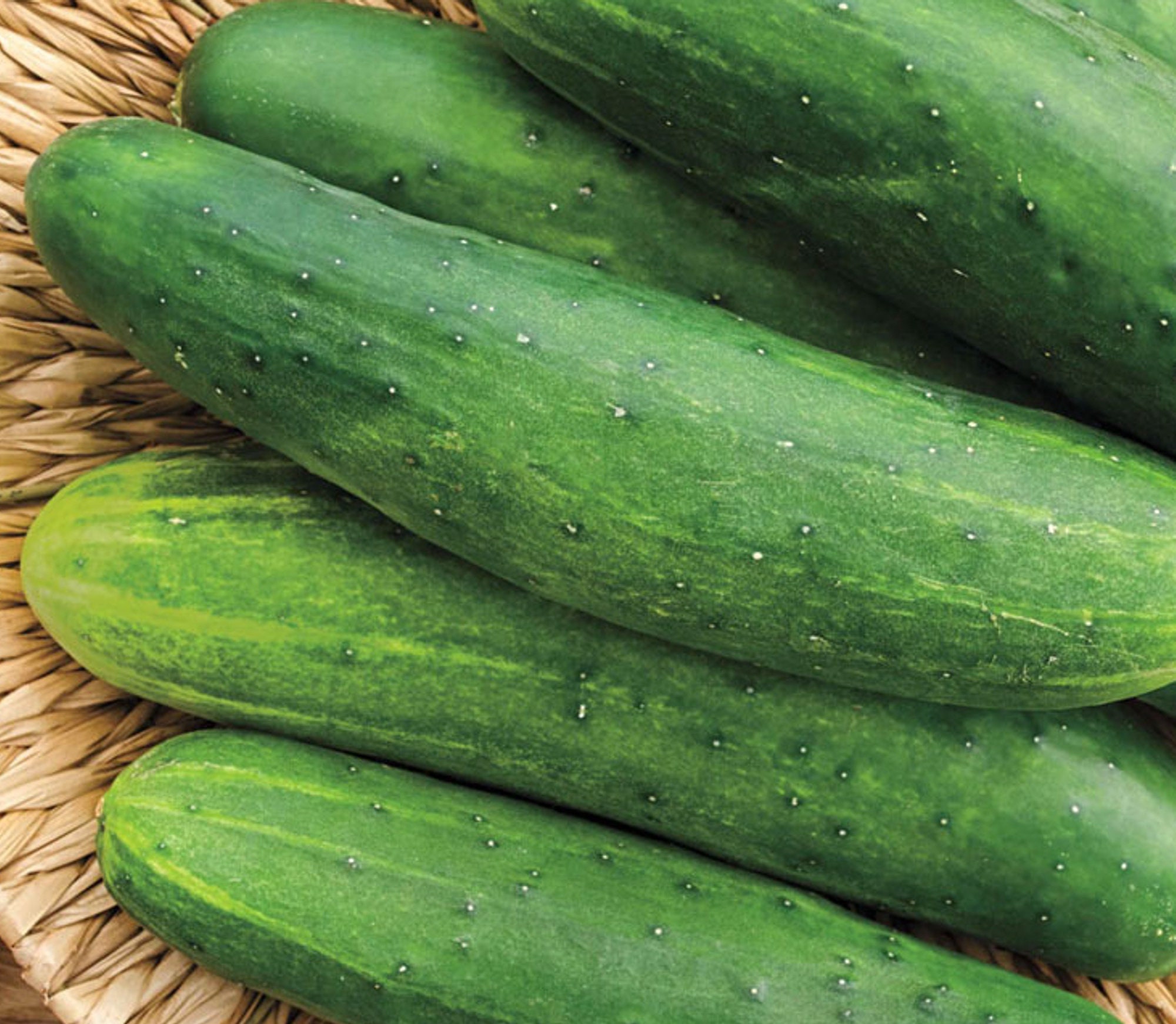 Homegrown Garden Sweet Cucumber Seeds 7-10 fruit | Etsy