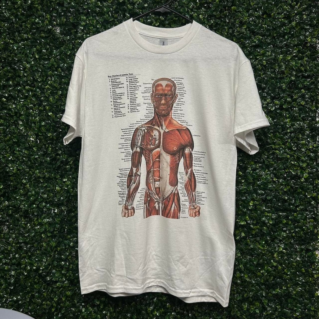 Muscle Anatomy T-shirt, Vintage Remake, Anatomical Chart T-shirt, Worn ...