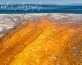 West Thumb Geyser Basin Yellowstone National Park Orange Blue Instant Digital Download to Print Abstract Wall Decor