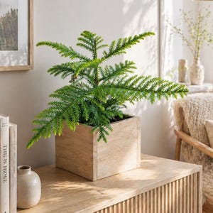 Mini Norfolk pine in a pot, 35cm tall - solid chestnut, handmade in Brittany - Indoor plant - Potted tree - Handmade gift