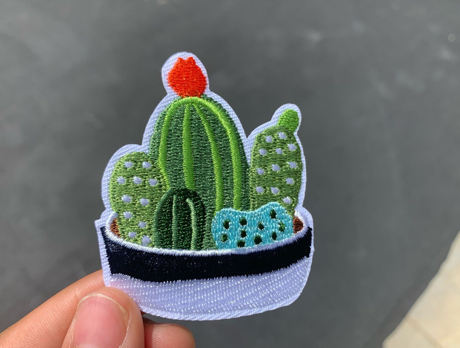 Cactus Iron on Patch desert Patch Embroidery Sew on Patch Etsy