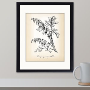 Bleeding Heart Plant | Botanical Wall Art | Minimalist Home Decor | Prints, Framed Prints, Gallery Wrap Canvas, and Plaques