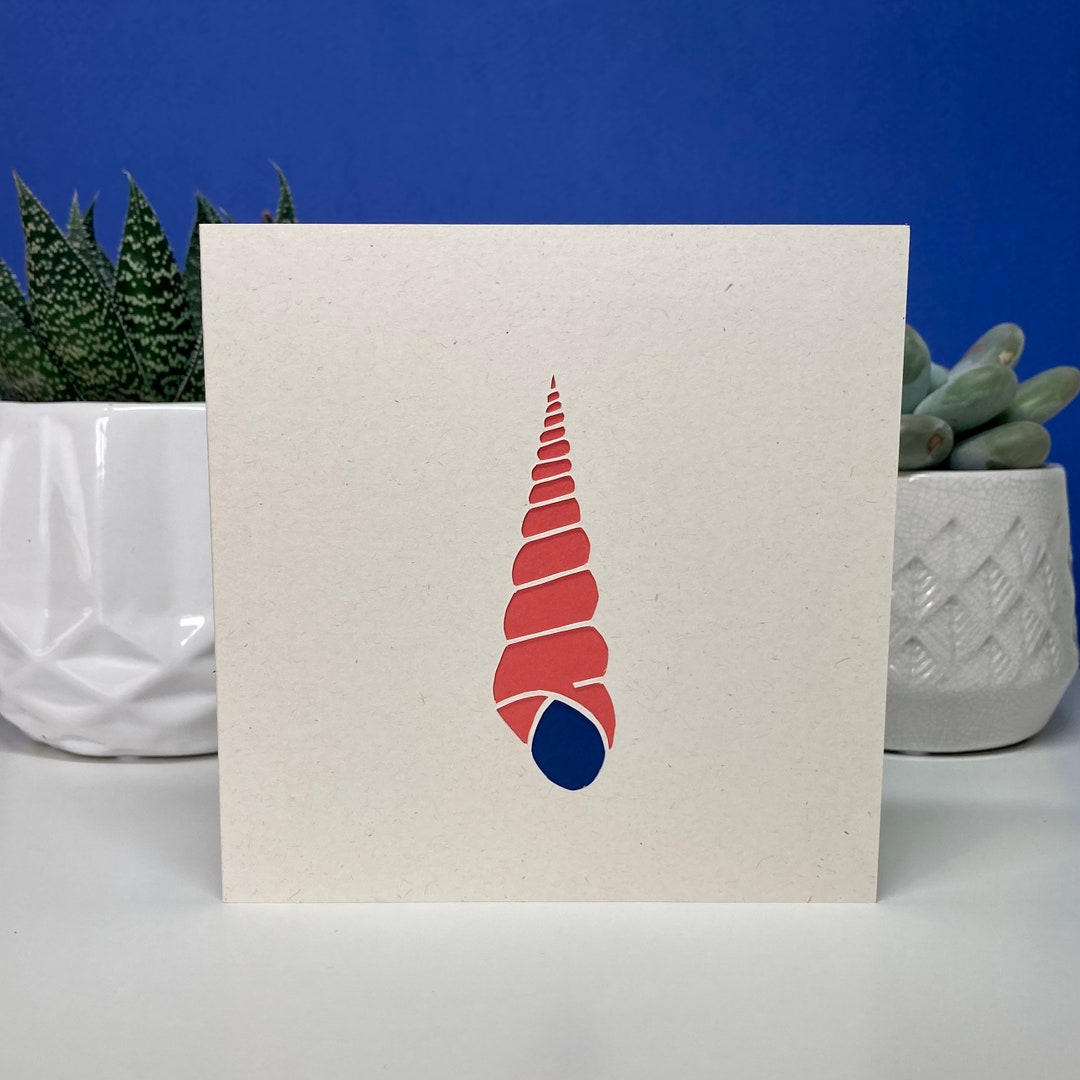 Handmade Papercut Shell Greeting Card-card for Ocean Sea - Etsy UK