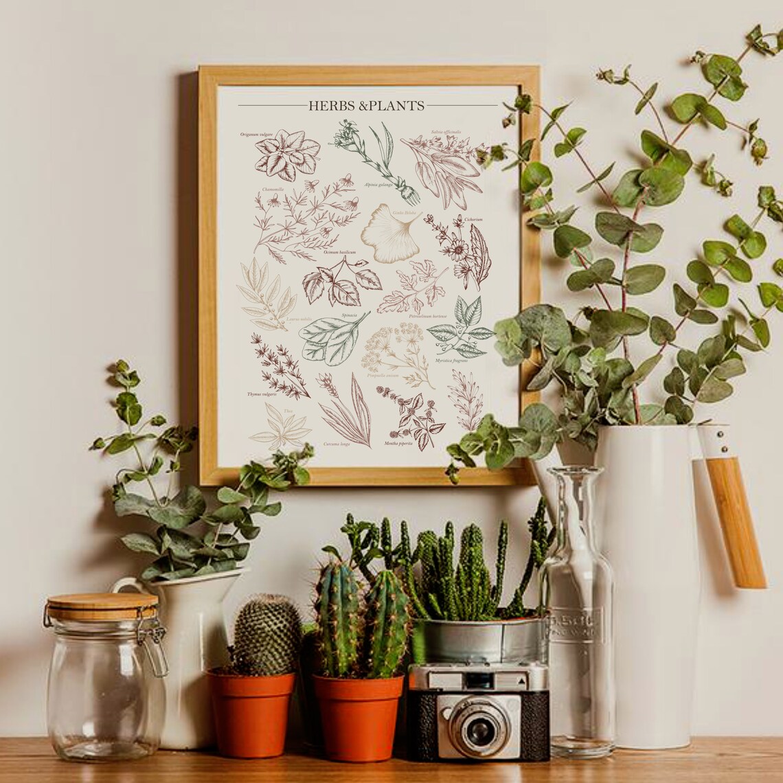 Herbs Kitchen Prints, Herbs List Poster, Gift for a Chef, Garden Herbs