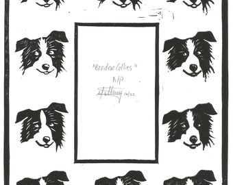 Border Collies