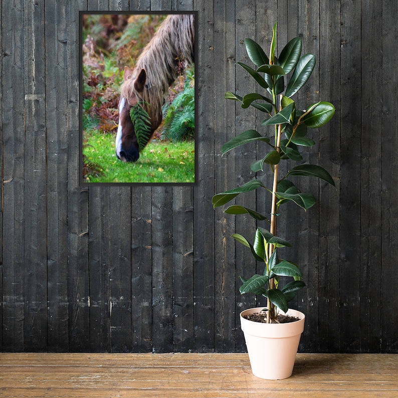 Horse Wall Art Fall Print Nature Art Print Equestrian Print Horse Photography Wildlife Photography Autumn Decor, Wild Horse Print