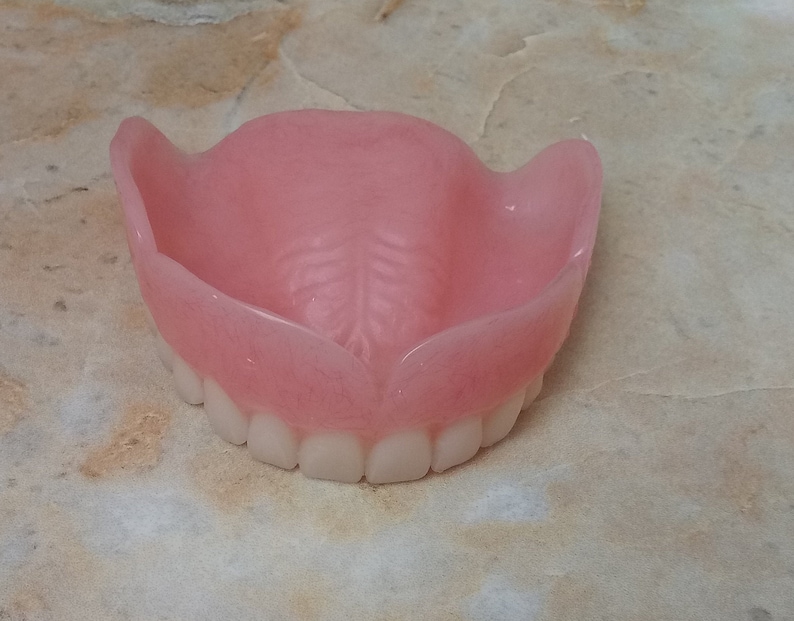 Upper Big Full Dentures Acrylic Denture Etsy