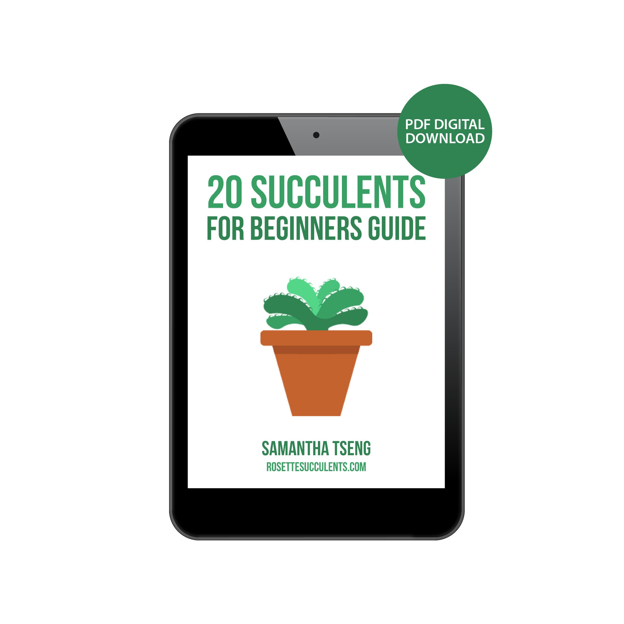 20 Succulents for Beginners Guide by Samantha Tseng (digital Succulent ...