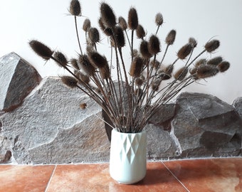 20 dried teasel stems 20-23"/ Bunch of dried pastel teasel/ Bouquet of dried thistle/ Home Decor/ Wedding Decor/ Neutral Wild Teasel Bouquet