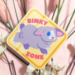 May include: A yellow and orange sign with the words "Binky Zone" and a cartoon gray bunny rabbit with blue eyes.