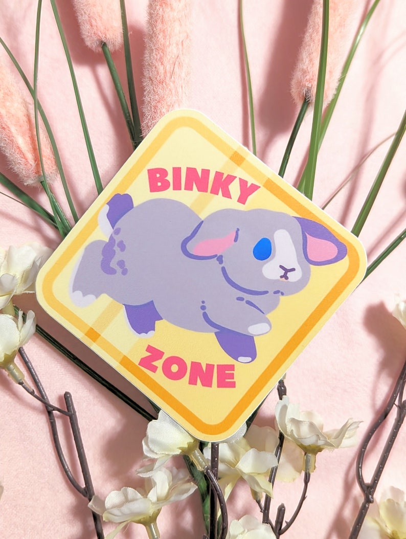 May include: A yellow and orange sign with the words "Binky Zone" and a cartoon gray bunny rabbit with blue eyes.