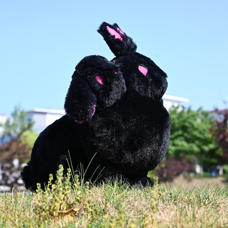 Stuffed Black Rabbit PRE ORDER | Necro Cerberus Bunny Plushie | Three Headed Rabbit Plush - Etsy