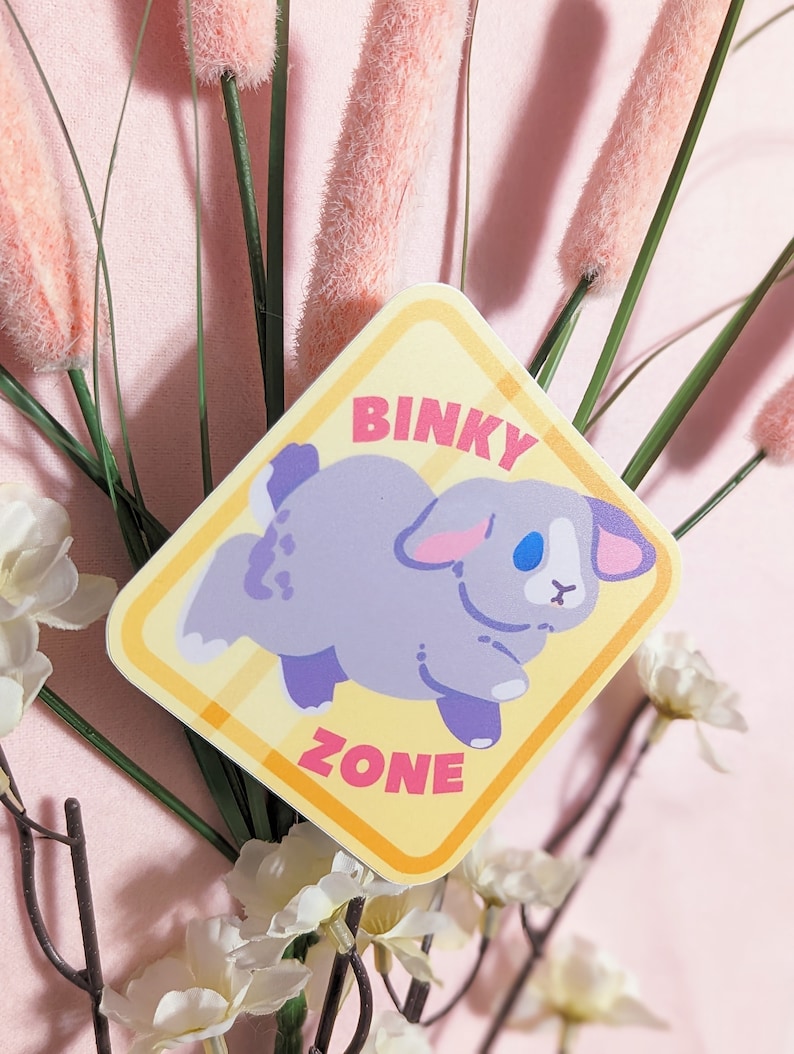 May include: A yellow and orange diamond-shaped sticker with the text "Binky Zone" and a cartoon illustration of a gray bunny rabbit with blue eyes.