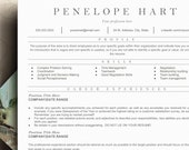 ATS Combination Resume Template Google Docs, Resume Template Minimalist, College student resume template in Google Docs and Word, CV Resume