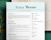 Accounting CV Resume Template, Resume Template for Word, Resume and Cover letter Template, lebenslauf vorlage,  Modern Resume Template Word