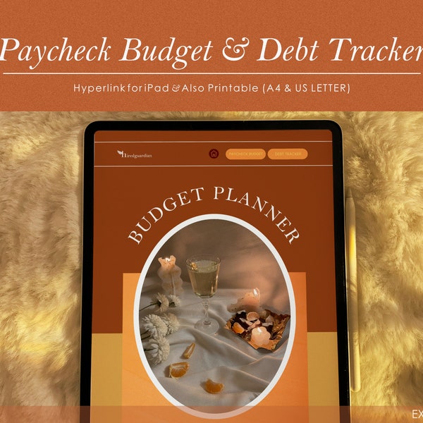 Monthly Budget Planner, Paycheck Budget Overview Template Printable, Paycheck Budget Printable, Budget Planner, Budget Template, Ipad Budget