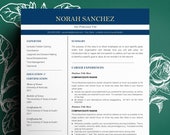 Resume Template Google Docs, Resume Template Modern, Student resume template in Google Docs and Word, Modern Resume and Cover letter