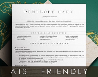 Nurse Resume Template, student nursing resume, resume template, Nurse resume, resume template nurse, registered nurse resume template