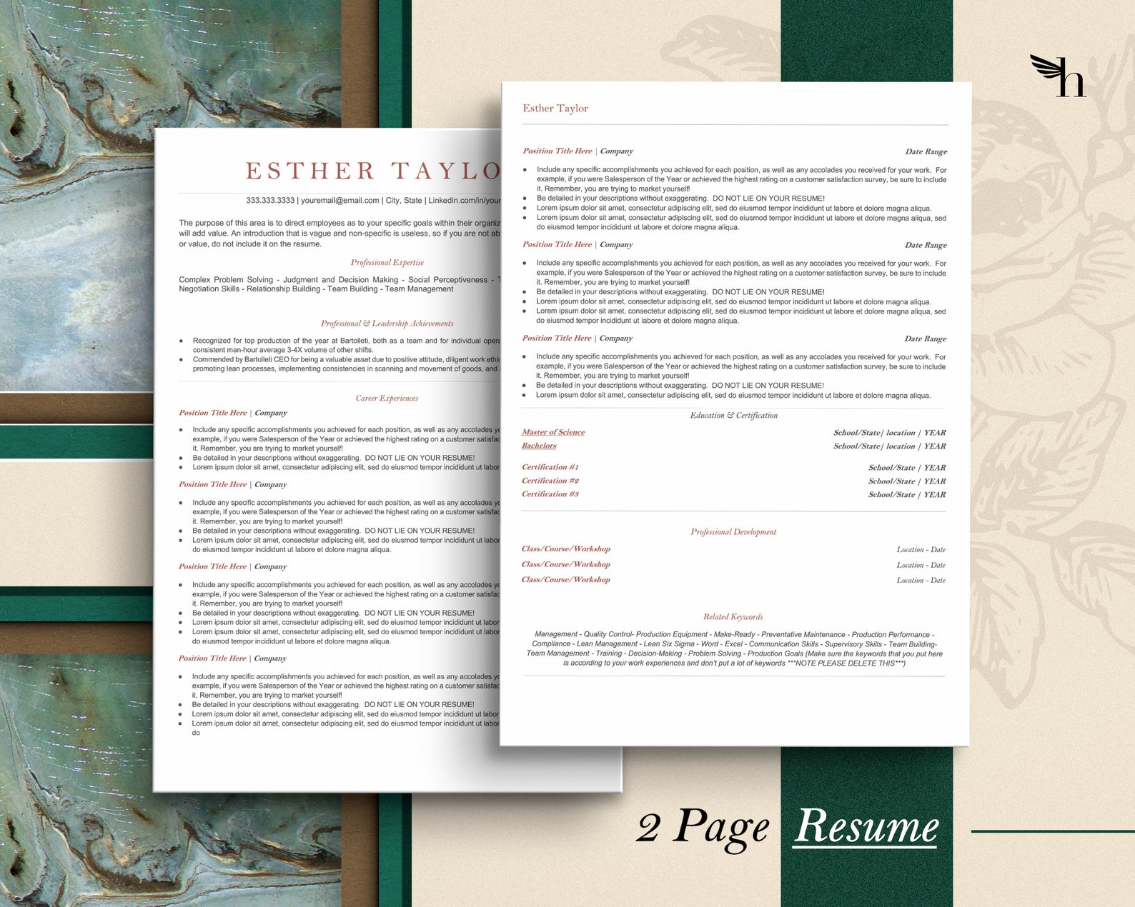 Clean, Modern Executive Resume Template 2025, CEO Resume Template for ...