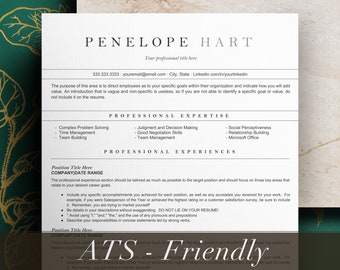 Minimalist Resume Template Google Docs and ms word, CV Resume Template Google Docs, ATS Resume, ATS Resume Template, Resume Template Word